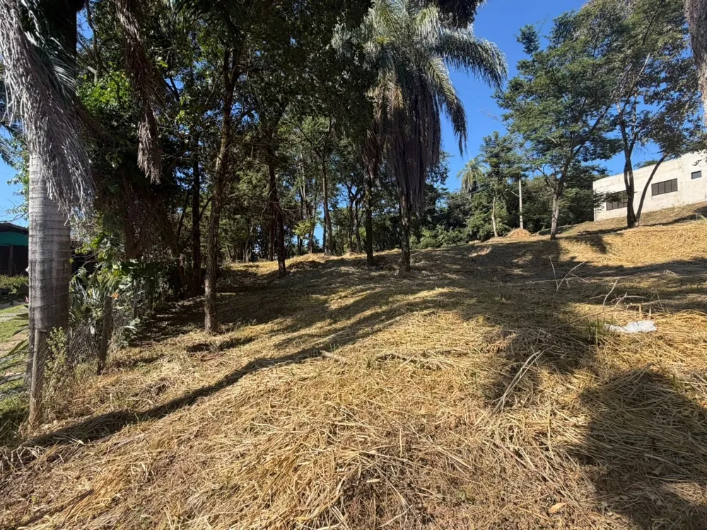 Terreno, 2450 m² - Foto 5