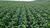 Fazenda, 90 hectares - Foto 3