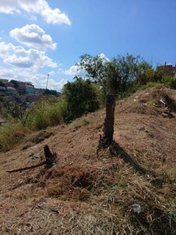 Terreno - Foto 3