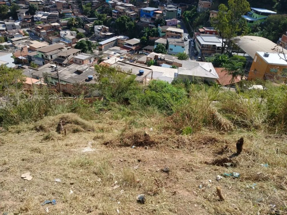 Terreno - Foto 8