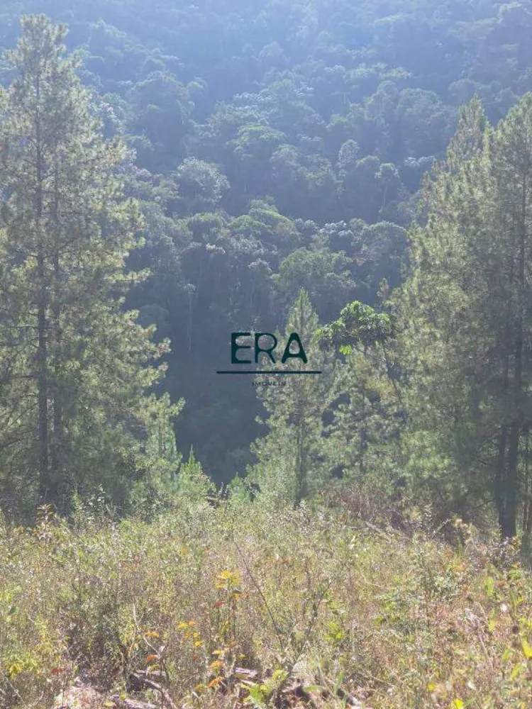 Terreno, 2090 m² - Foto 4