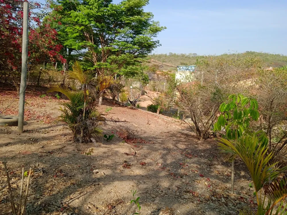 Chácara, 2 quartos, 3000 m² - Foto 6