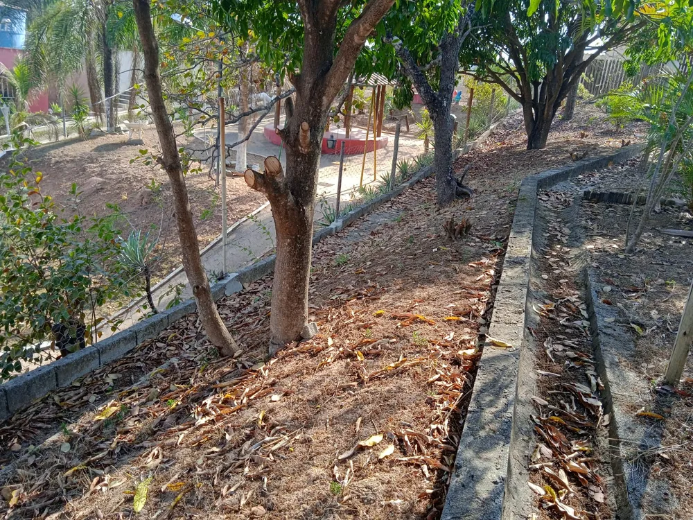 Chácara, 2 quartos, 3000 m² - Foto 16