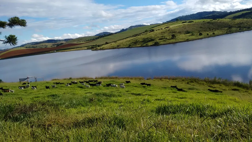 Fazenda, 109 hectares - Foto 4