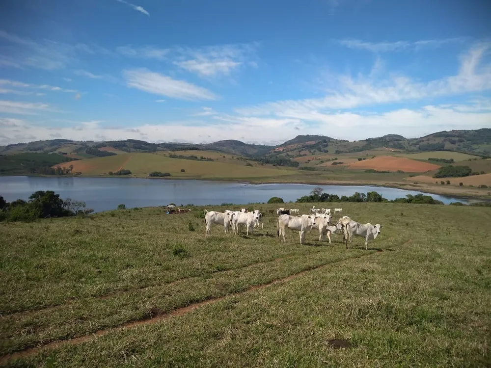 Fazenda, 109 hectares - Foto 2