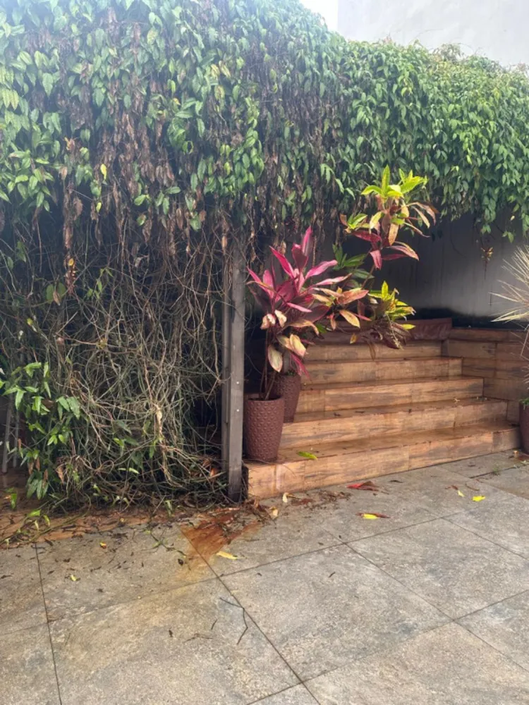 Casa, 5 quartos, 300 m² - Foto 6