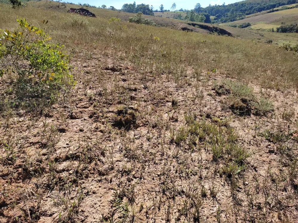 Terreno, 100000 m² - Foto 5