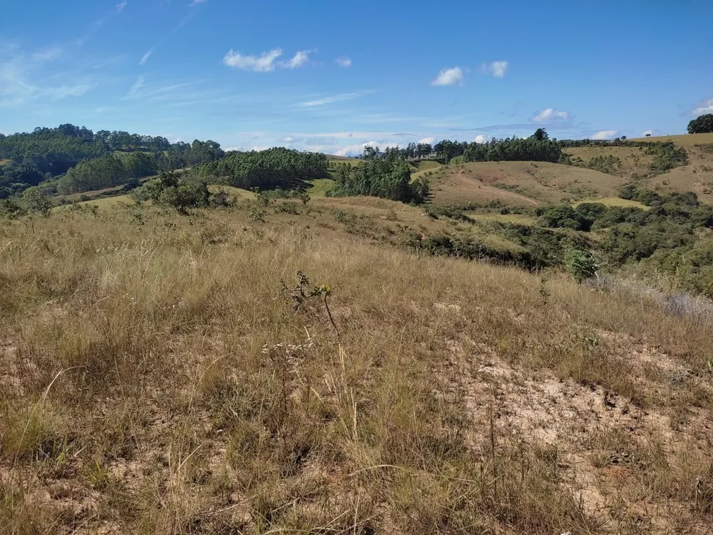 Terreno, 100000 m² - Foto 8