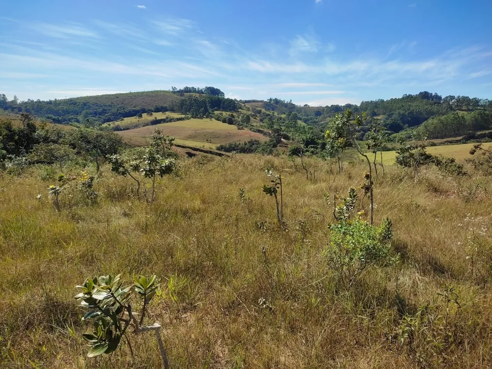 Terreno, 100000 m² - Foto 7