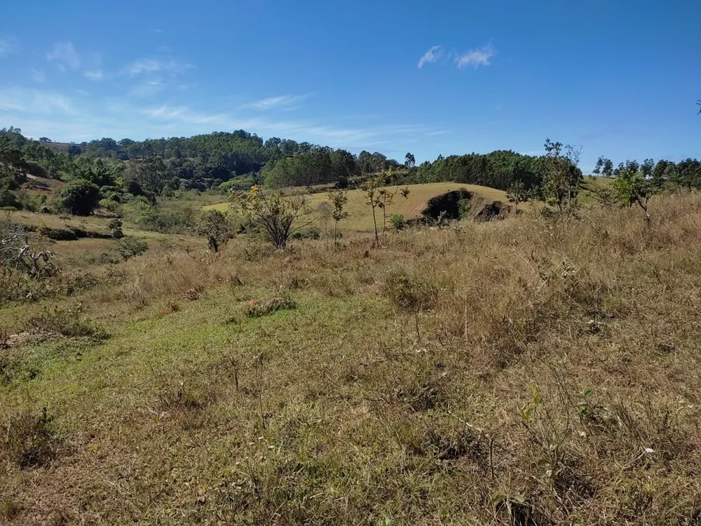 Terreno, 100000 m² - Foto 1