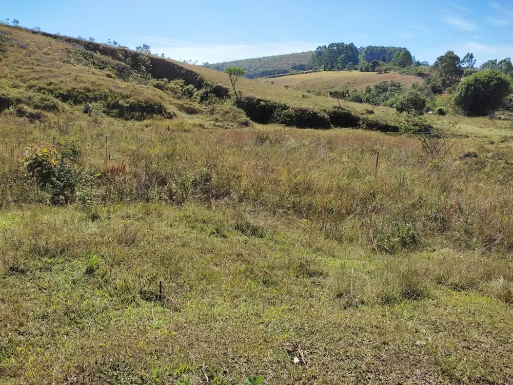 Terreno, 100000 m² - Foto 4