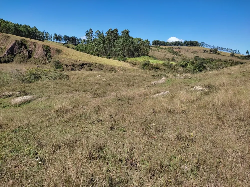 Terreno, 100000 m² - Foto 2