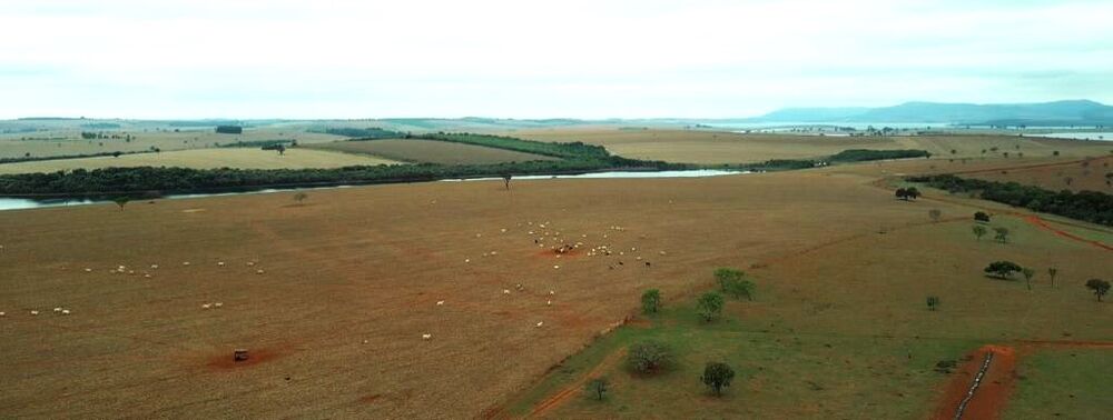 Fazenda à venda com 1 quarto, 148000000m² - Foto 5