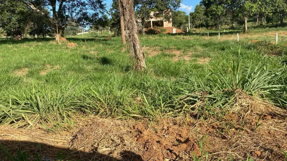 Terreno, 1000 m² - Foto 1