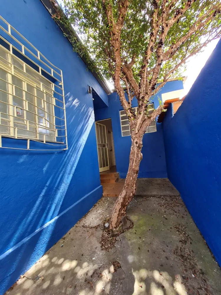 Casa, 3 quartos, 500 m² - Foto 8