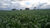 Fazenda, 203 hectares - Foto 1