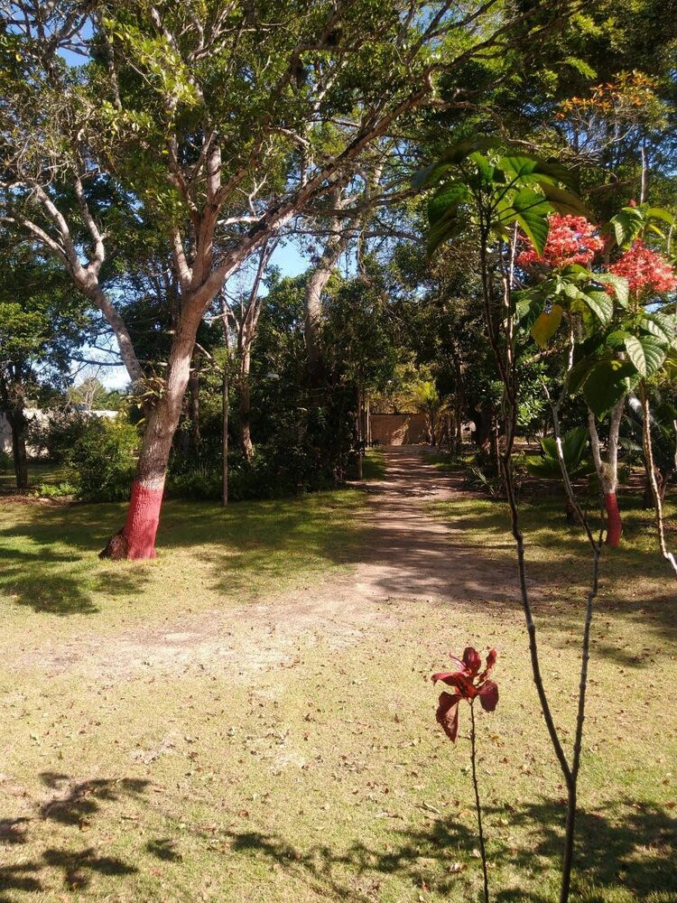 Chácara à venda com 2 quartos - Foto 3