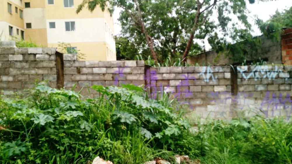 Terreno, 363 m² - Foto 3