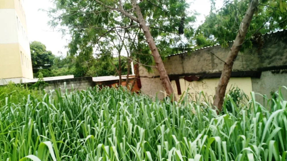 Terreno, 363 m² - Foto 6