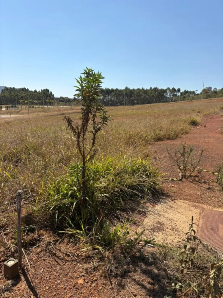 Terreno - Foto 4