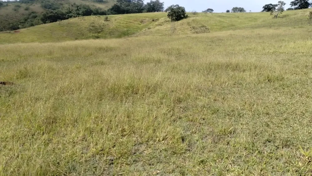 Fazenda, 1 quarto - Foto 6