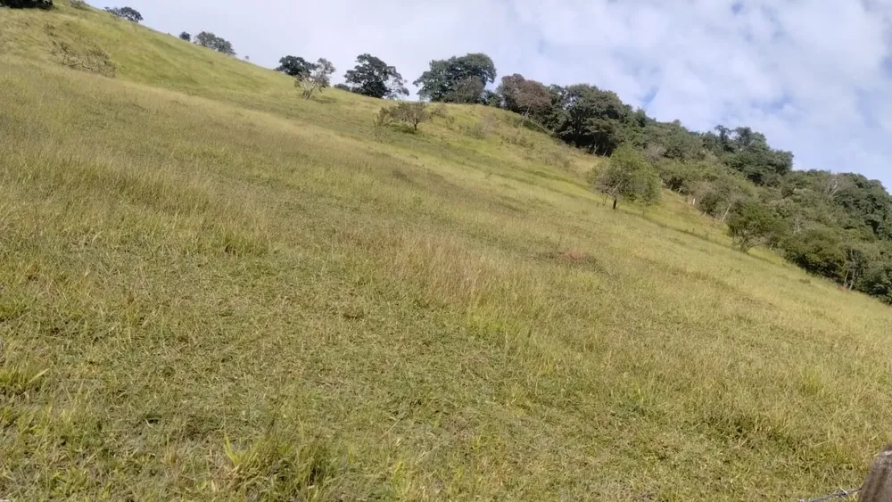 Fazenda, 1 quarto - Foto 7