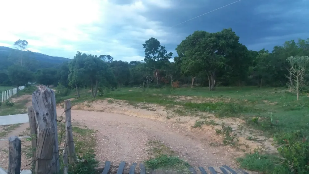 Fazenda, 6 quartos - Foto 3