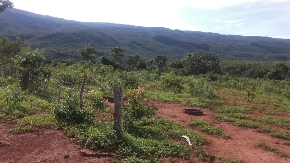 Fazenda, 6 quartos - Foto 3