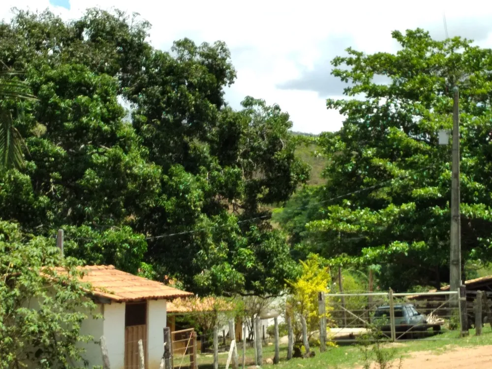 Fazenda, 6 quartos - Foto 11