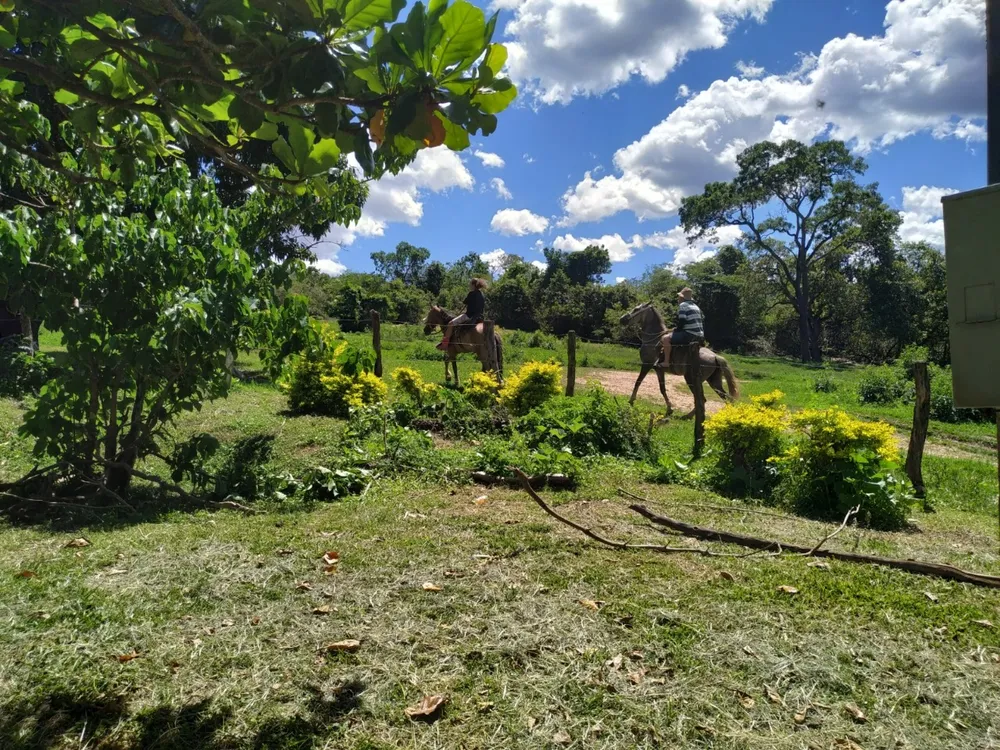 Fazenda, 6 quartos - Foto 2