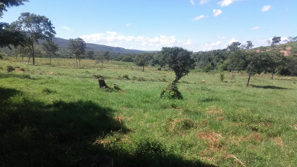 Fazenda, 6 quartos - Foto 5