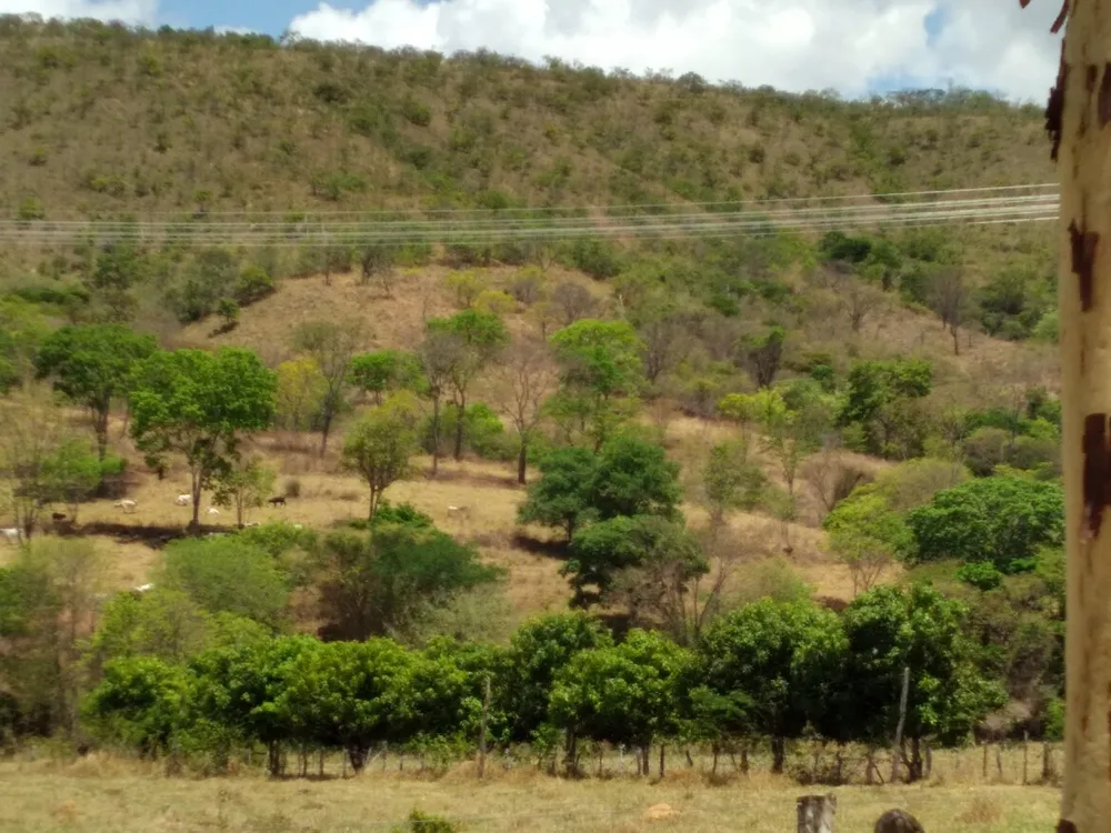 Fazenda, 6 quartos - Foto 9
