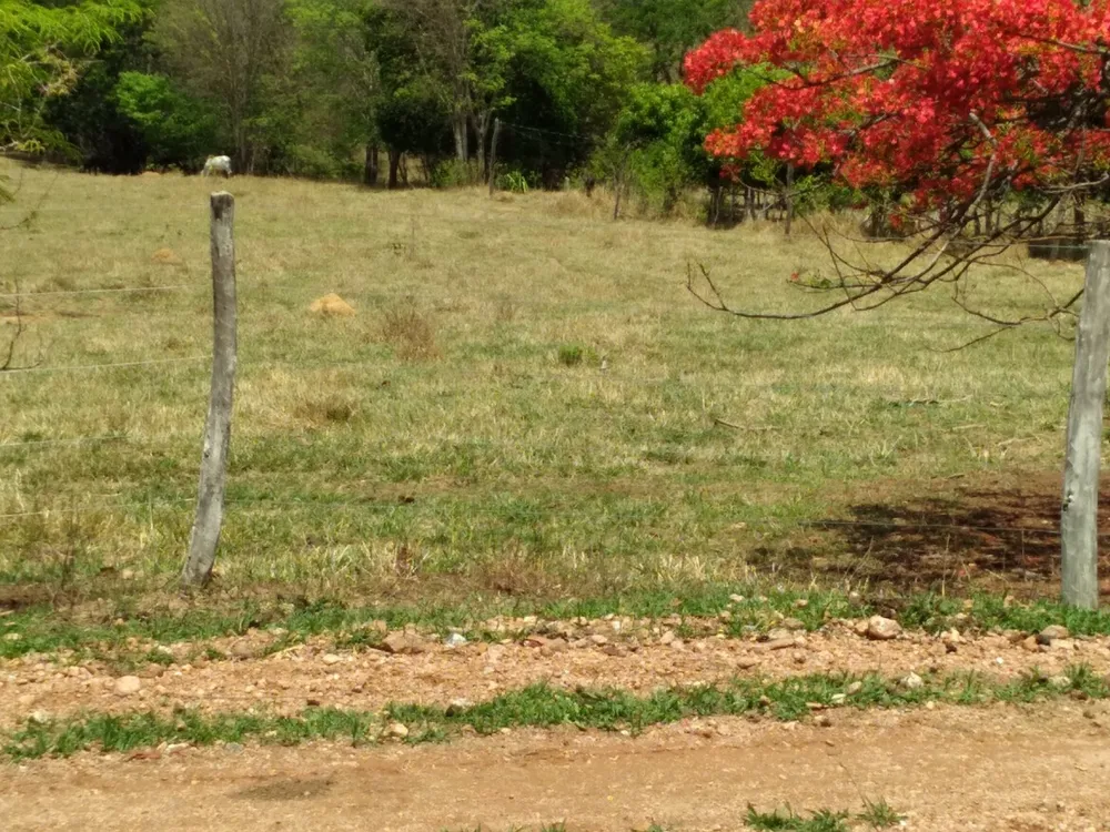 Fazenda, 6 quartos - Foto 6