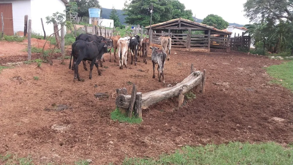 Fazenda, 6 quartos - Foto 4