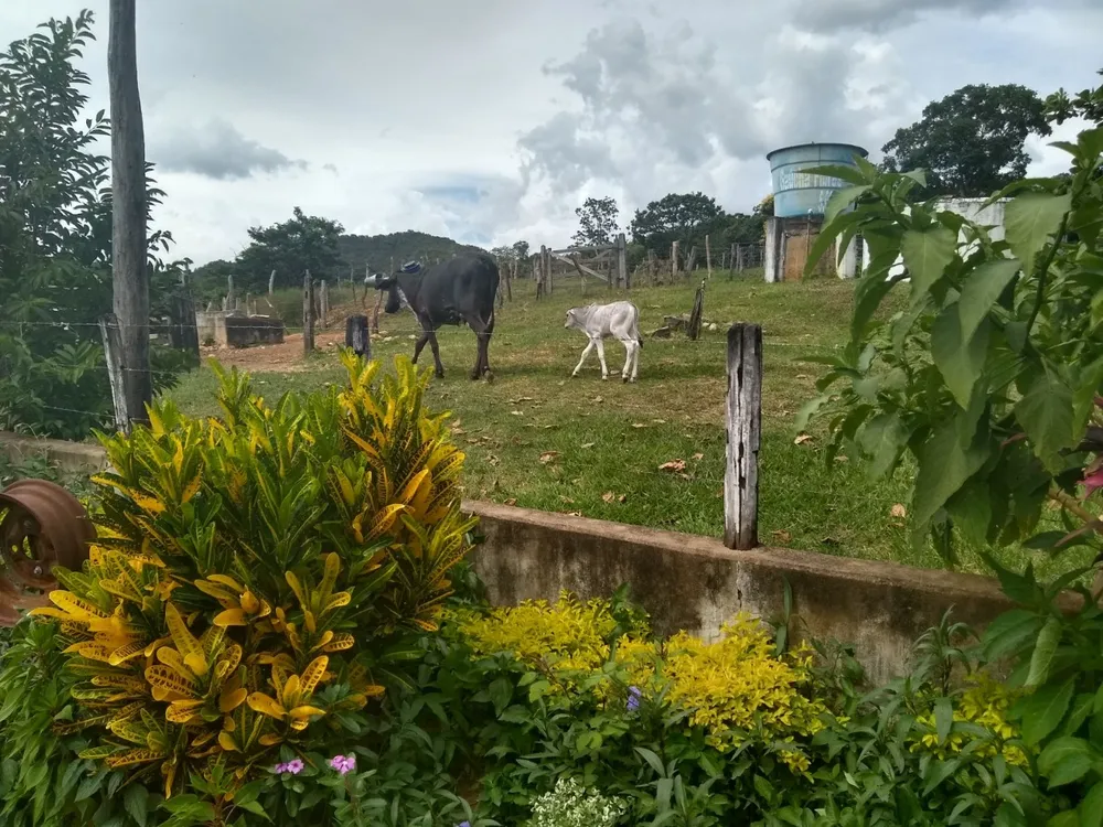 Fazenda, 6 quartos - Foto 2