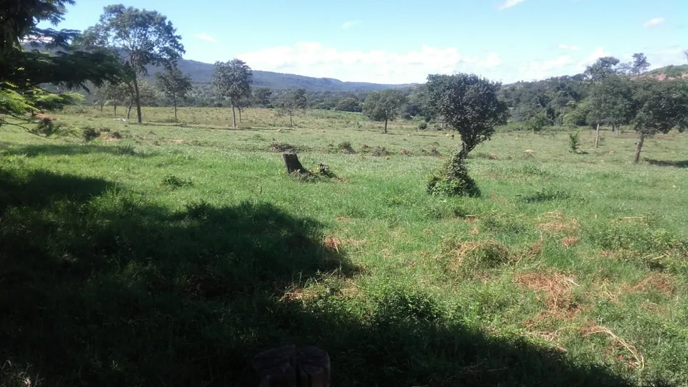 Fazenda, 6 quartos - Foto 8