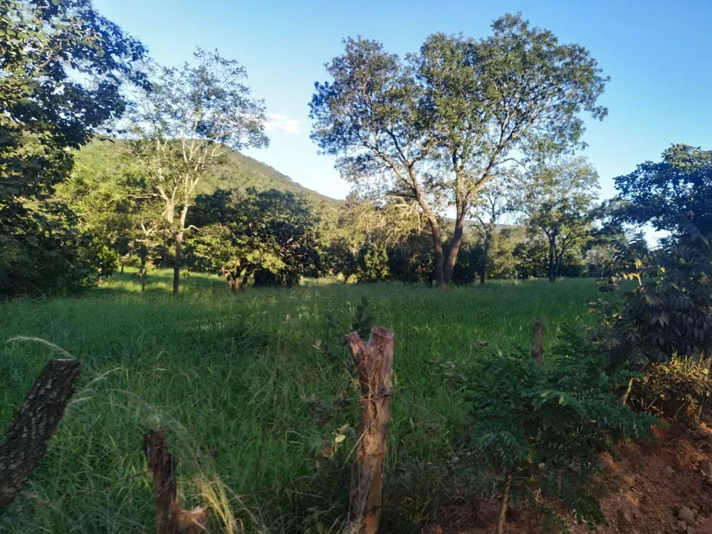 Fazenda, 6 quartos - Foto 1