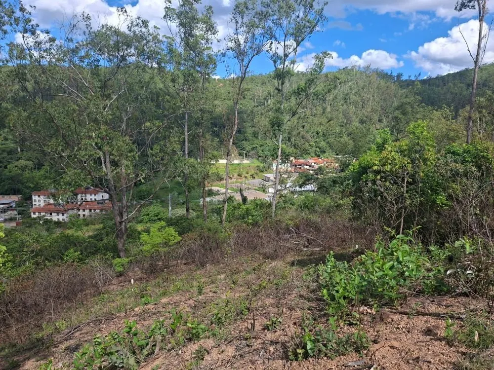 Terreno - Foto 7