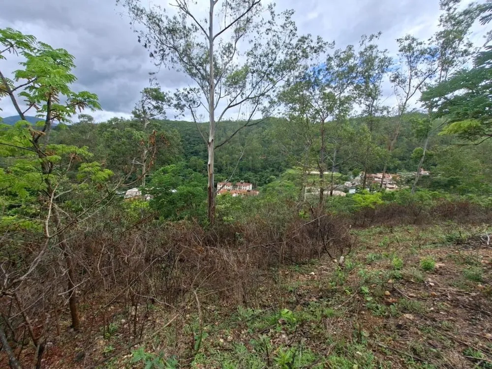 Terreno - Foto 4