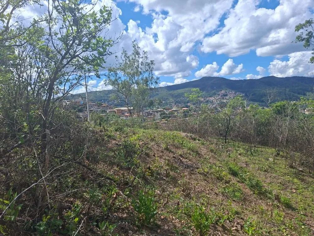 Terreno - Foto 8