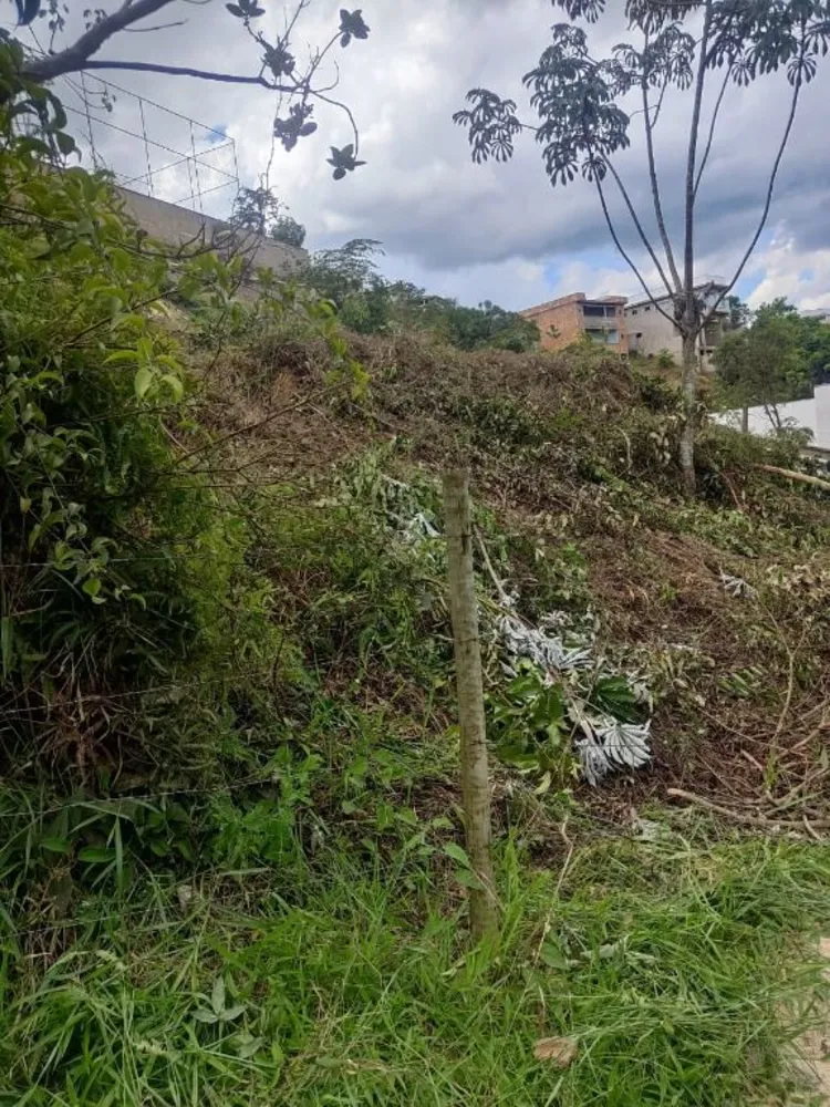 Terreno, 368 m² - Foto 6