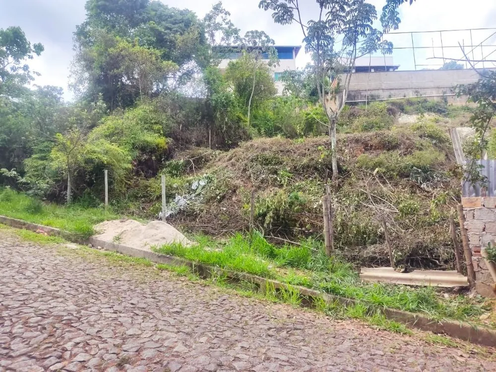 Terreno, 368 m² - Foto 8