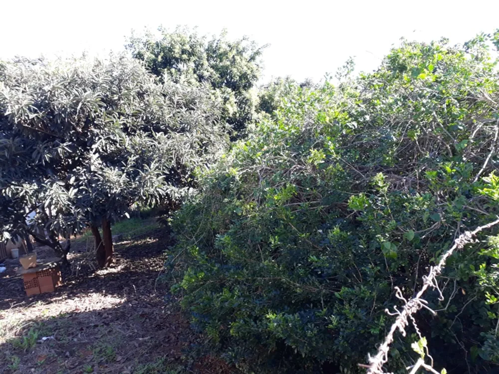 Terreno, 3804 m² - Foto 4