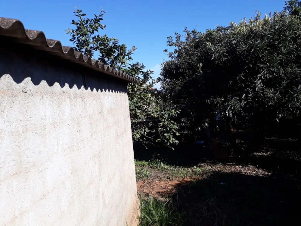 Terreno, 3804 m² - Foto 6