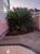 Loja-Salão - Foto 2