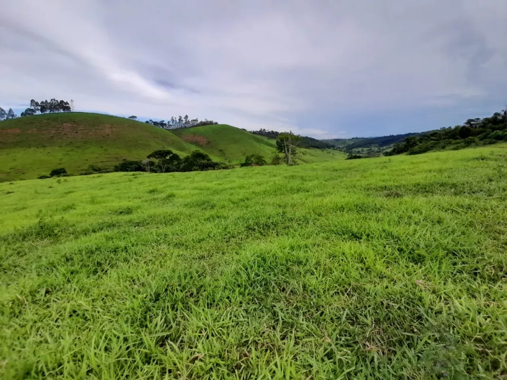 Fazenda, 8 quartos - Foto 8
