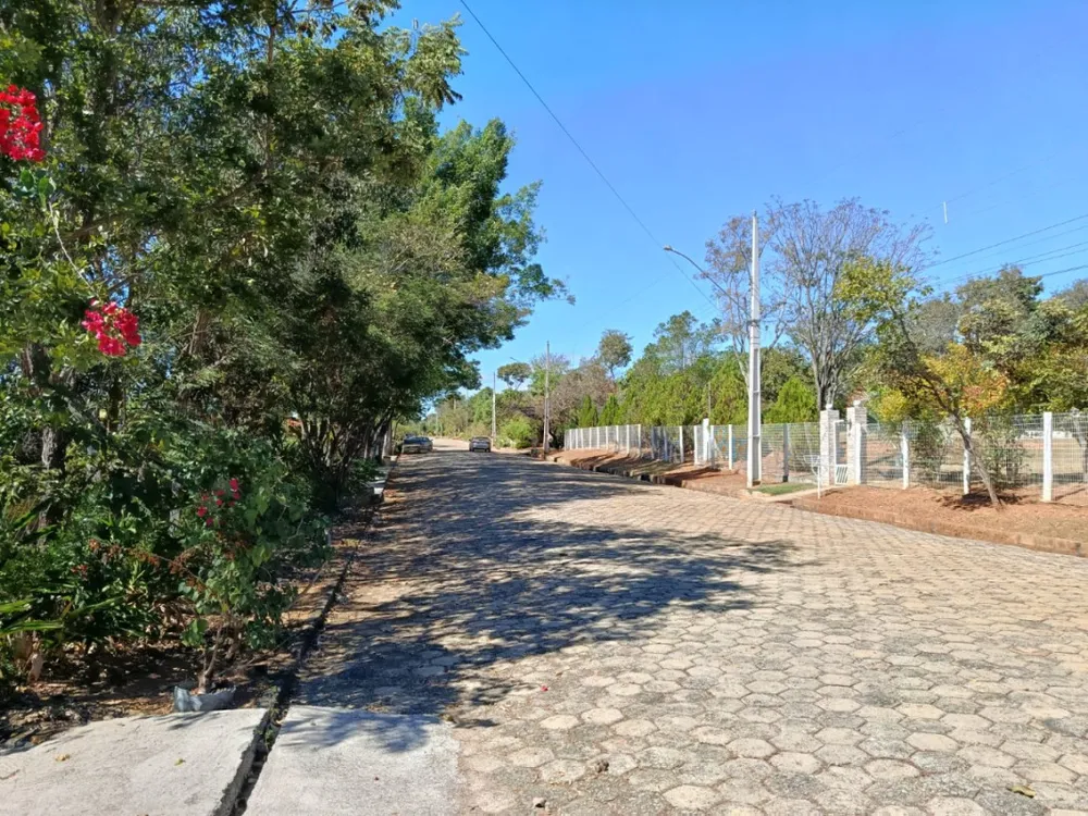 Sítio, 6 quartos, 3530 m² - Foto 8