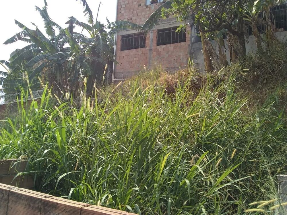 Terreno à venda, 293m² - Foto 1