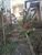 Terreno, 400 m² - Foto 4