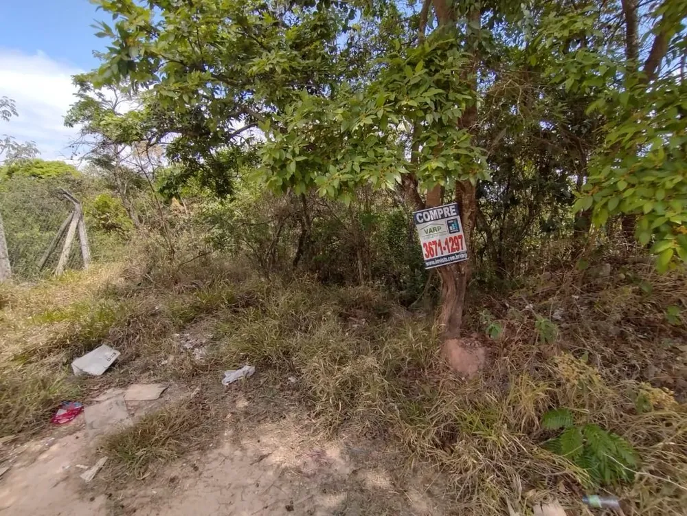 Terreno, 3200 m² - Foto 7